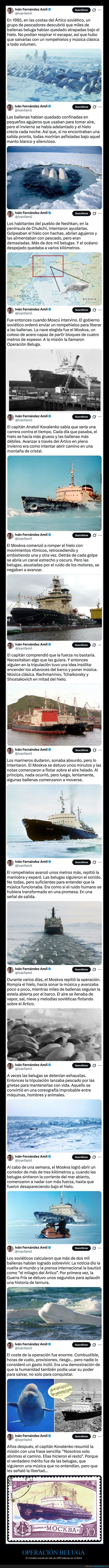 operación beluga,rescate,belugas,ártico