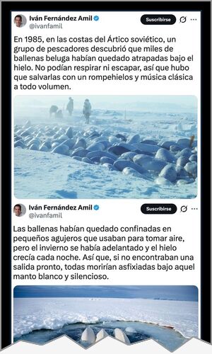 Mejor cartel de ayer