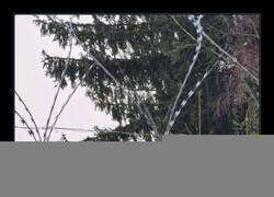 Enlace a Cambio de bandera