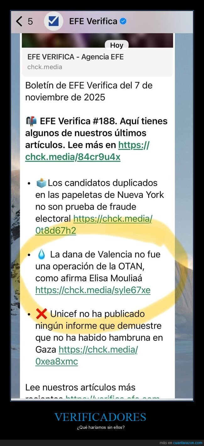 verificadores,dana,otan,elisa mouliaá