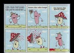 Enlace a Demasiado educado