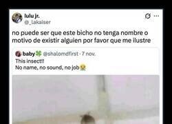 Enlace a El bicho sin nombre