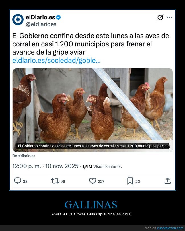 confinamiento,gallinas,gripe aviar