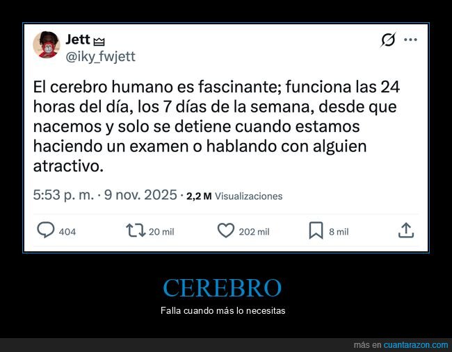 cerebro,funcionar,fallar