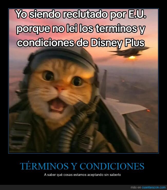 términos y condiciones,aceptar,reclutado,eeuu