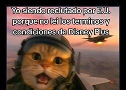 Enlace a Por no leer