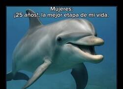 Enlace a Mismos años, distintas etapas