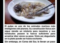 Enlace a Comidas locales peligrosas que podrían salirte muy caras