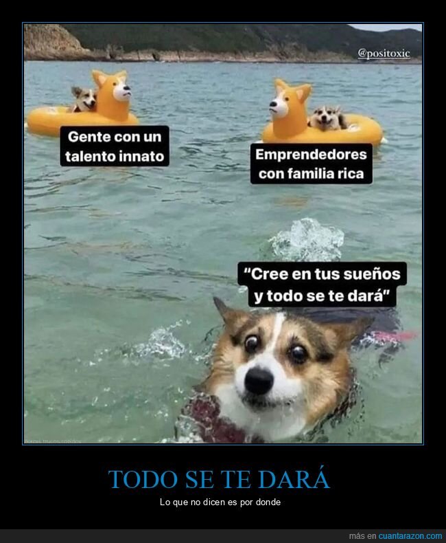 creer,familia rica,sueños,talento