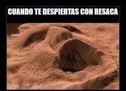 Enlace a Mal despertar