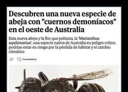 Enlace a No podía ser de otro sitio...