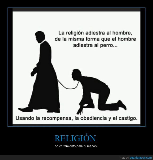 religión,adiestrar,hombres,perros