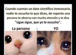 Enlace a El único que te escucha