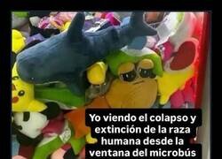 Enlace a La visión de cada día