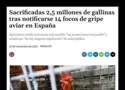 Enlace a Holocausto aviar