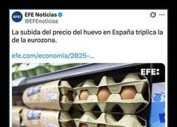 Enlace a Los huevos por las nubes y algunos lanzándolos