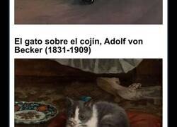 Enlace a Divertidas imágenes de gatos medievales