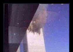 Enlace a Malditos vecinos...