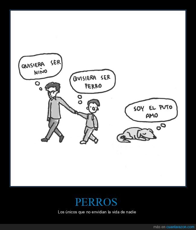 niño,perros,querer ser