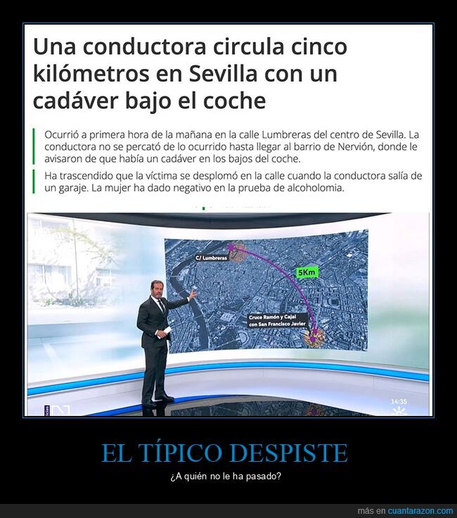 atropello,coches,wtf