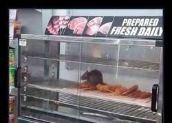 Enlace a Consejo gastronómico