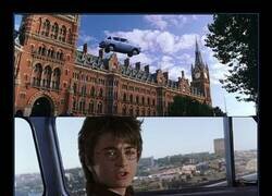 Enlace a Muggles confusos