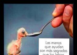 Enlace a Los actos pesan más que los rezos