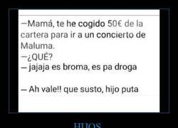 Enlace a Hijo bromista