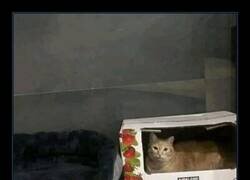 Enlace a Se conforman con lo básico