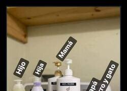 Enlace a Un jabón para cada miembro de la familia