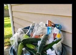 Enlace a Contenido revelador