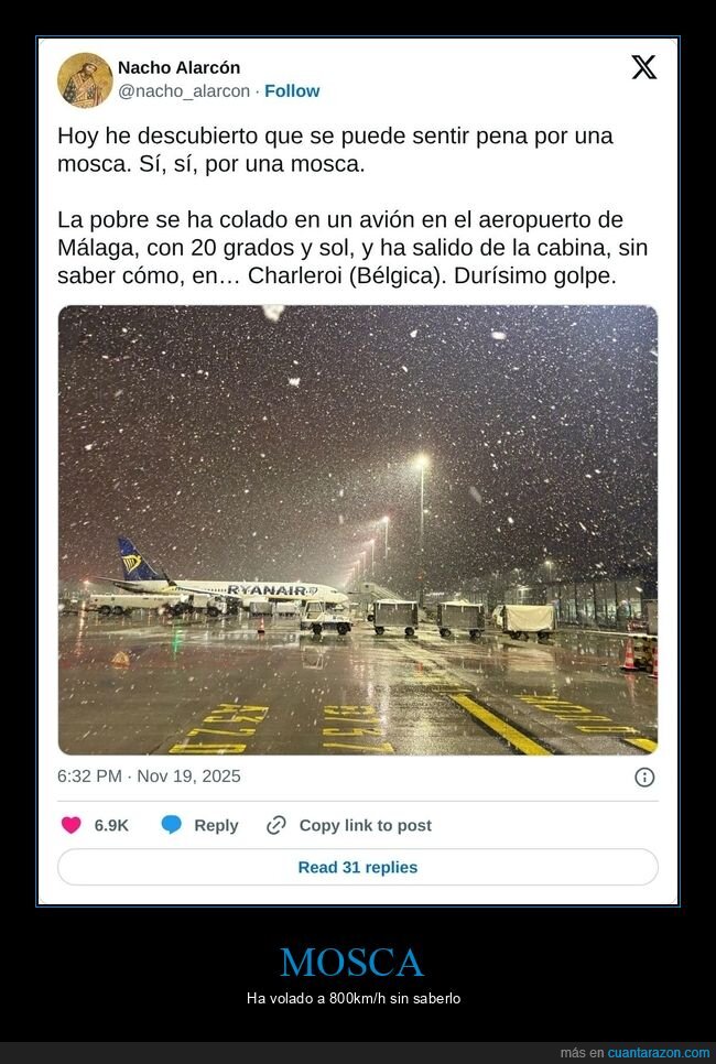 mosca,málaga,avión,bélgica