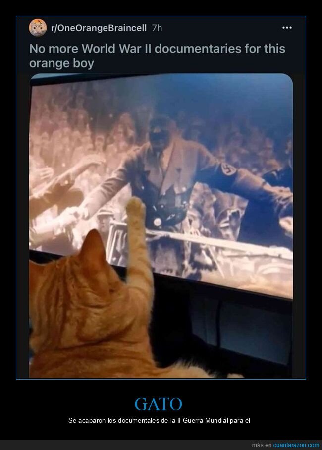 gato,ii guerra mundial