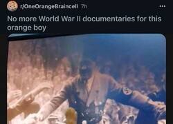 Enlace a Gato influenciable