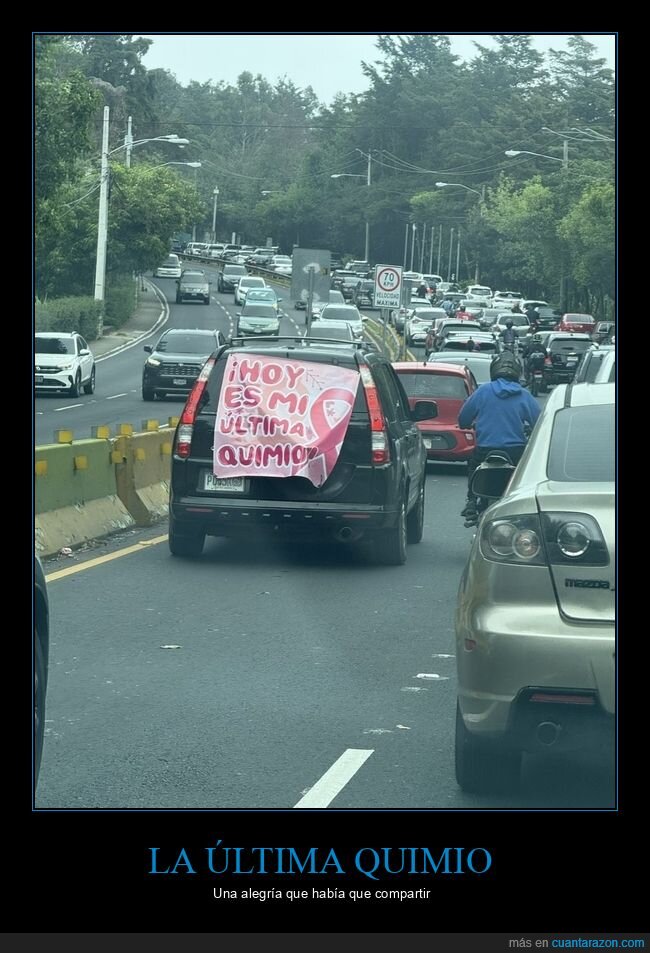 quimio,carteles,coches