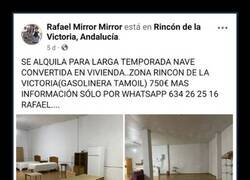 Enlace a Vivienda acogedora
