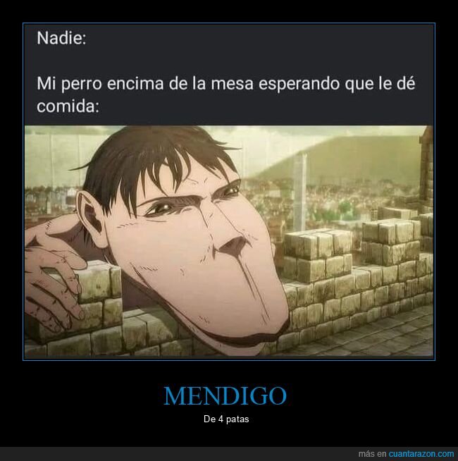 attack on titan,comida,mesa,perros