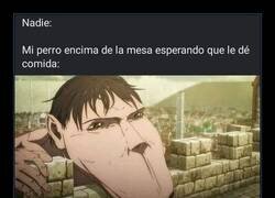 Enlace a Súplicas caninas