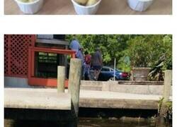 Enlace a Imágenes extrañas y desquiciadas que no son aptas para todo el mundo