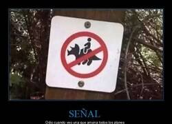 Enlace a Siempre prohíben lo mejor