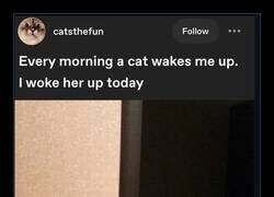 Enlace a Donde las dan, las toman