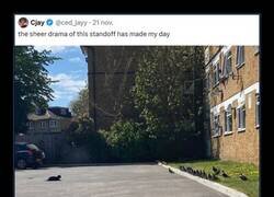 Enlace a Tratando de llegar a un acuerdo