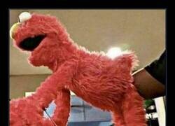 Enlace a Descubrimiento aterrador