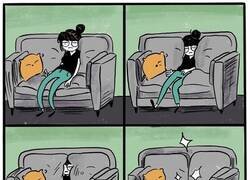 Enlace a Sofá absorbente