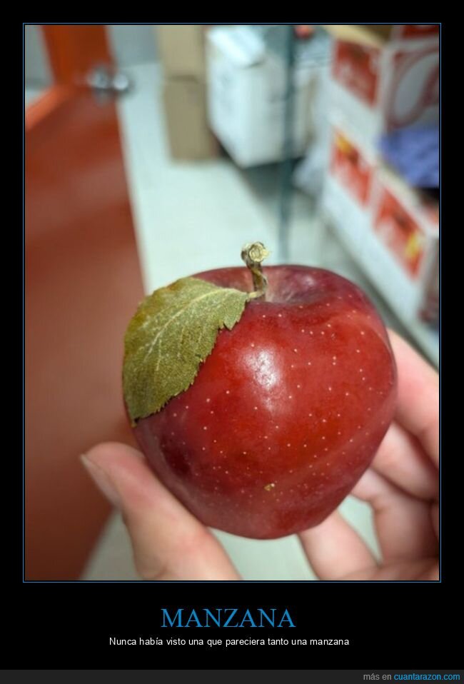 manzana