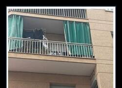 Enlace a Mensaje vecinal