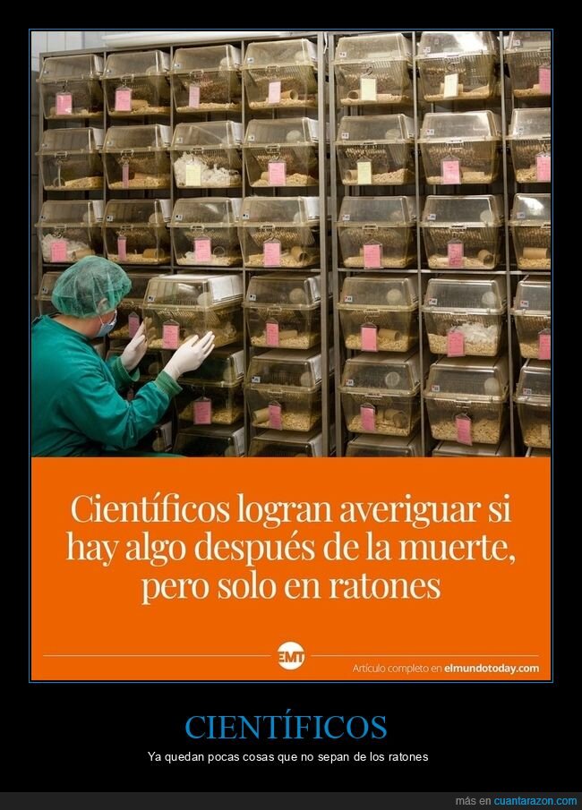 científicos,el mundo today,ratones