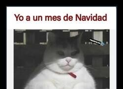 Enlace a Objetivo no alcanzado