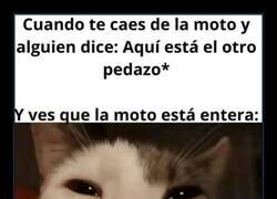 Enlace a Mala caída