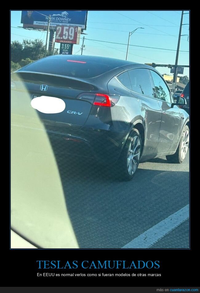 tesla,camuflado,coche